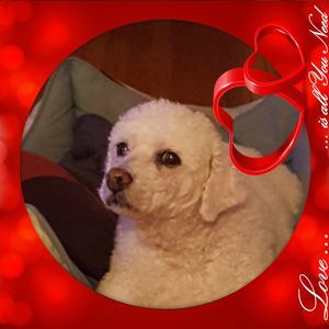 Meet your Posher, Aida